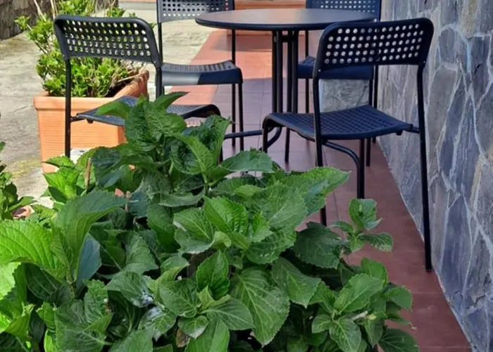 Casa Camilo