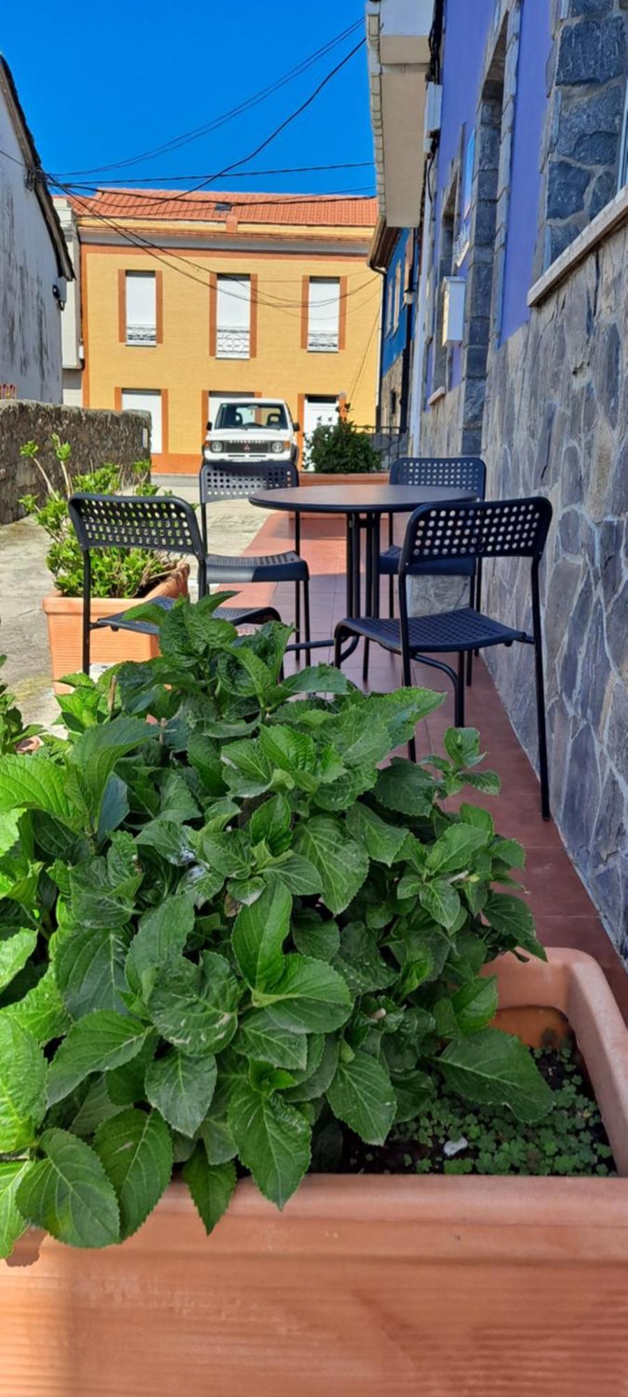 Casa Camilo La Arena